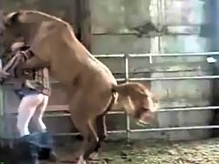 Inadequate boy fucks little horse in barn