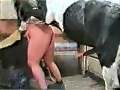 Old man put ass for horse