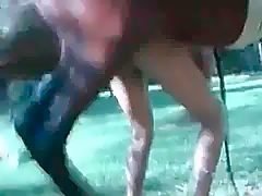 Nurse in stock cocksucing for horse