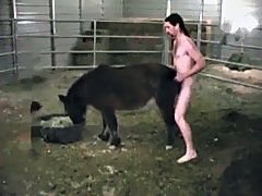 Active stallion fucking woman in condom